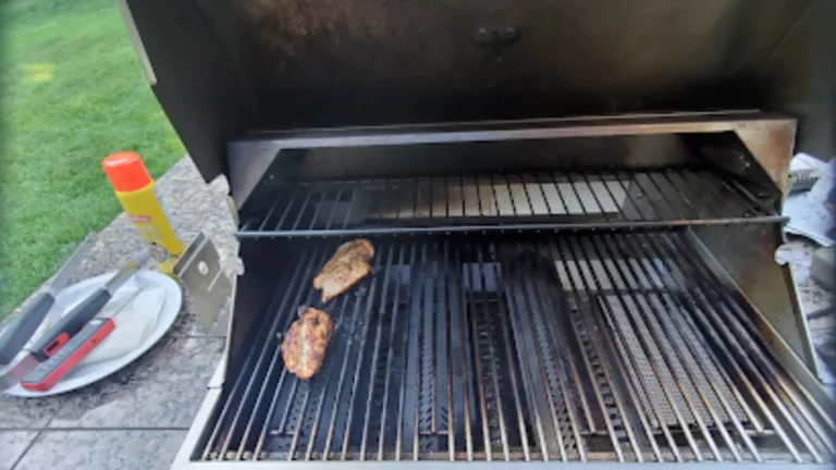 Gas Grills Essential Grilling Techniques