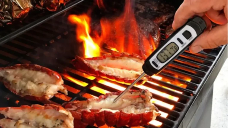 Grill Thermometers